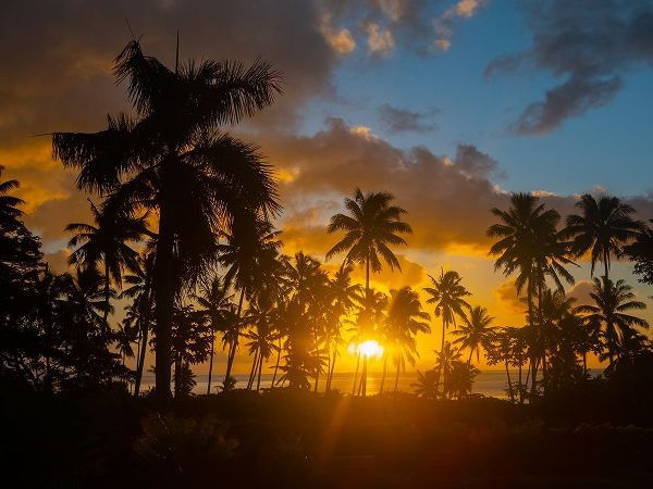Fiji-Taveuni Island Beach sunset with palm trees